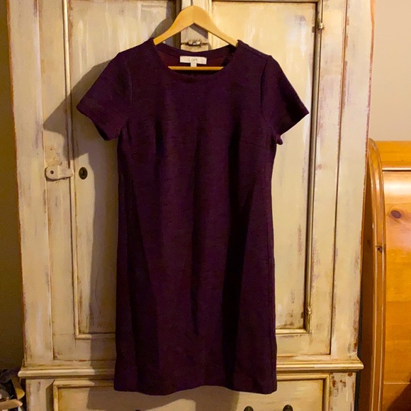 LOFT Dresses & Skirts - NWT loft knit dress